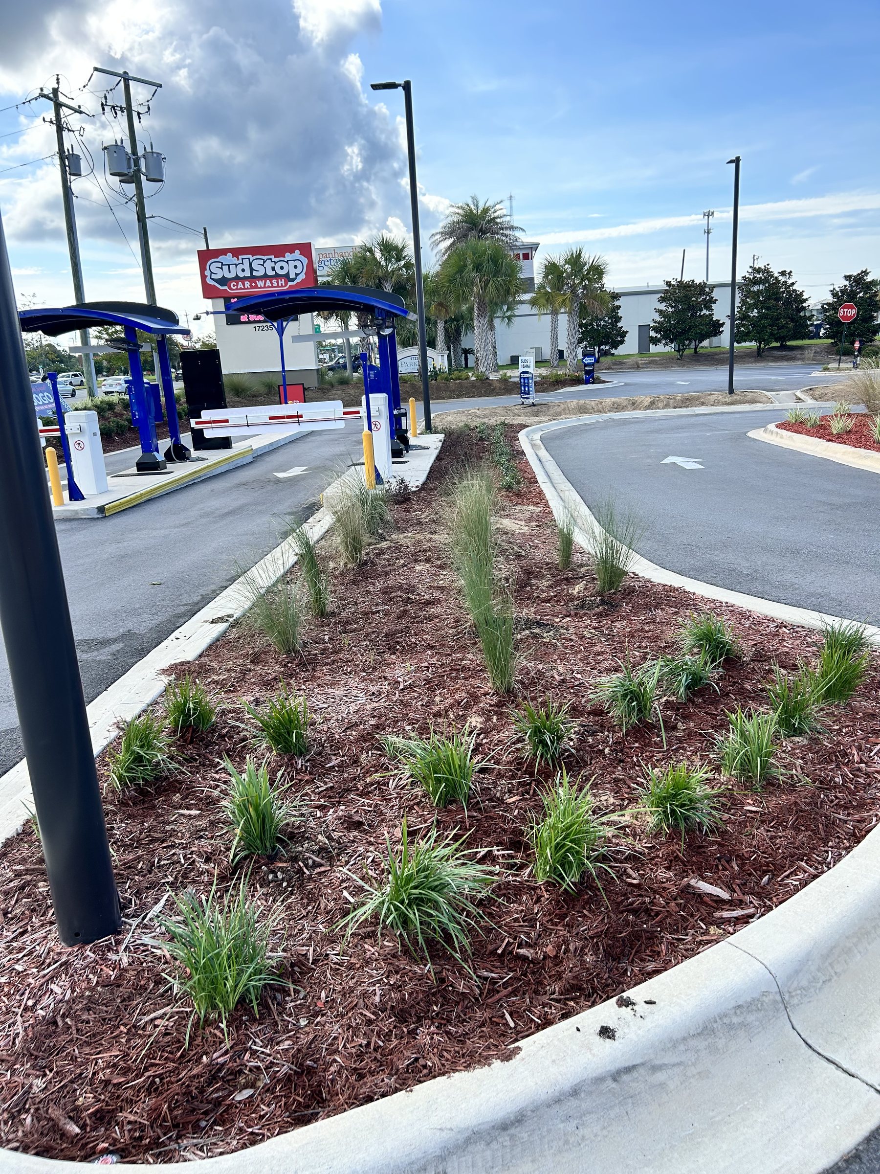 Curbed planting bed with ornamental grasses at the entrance to Sud Stop Car Wash