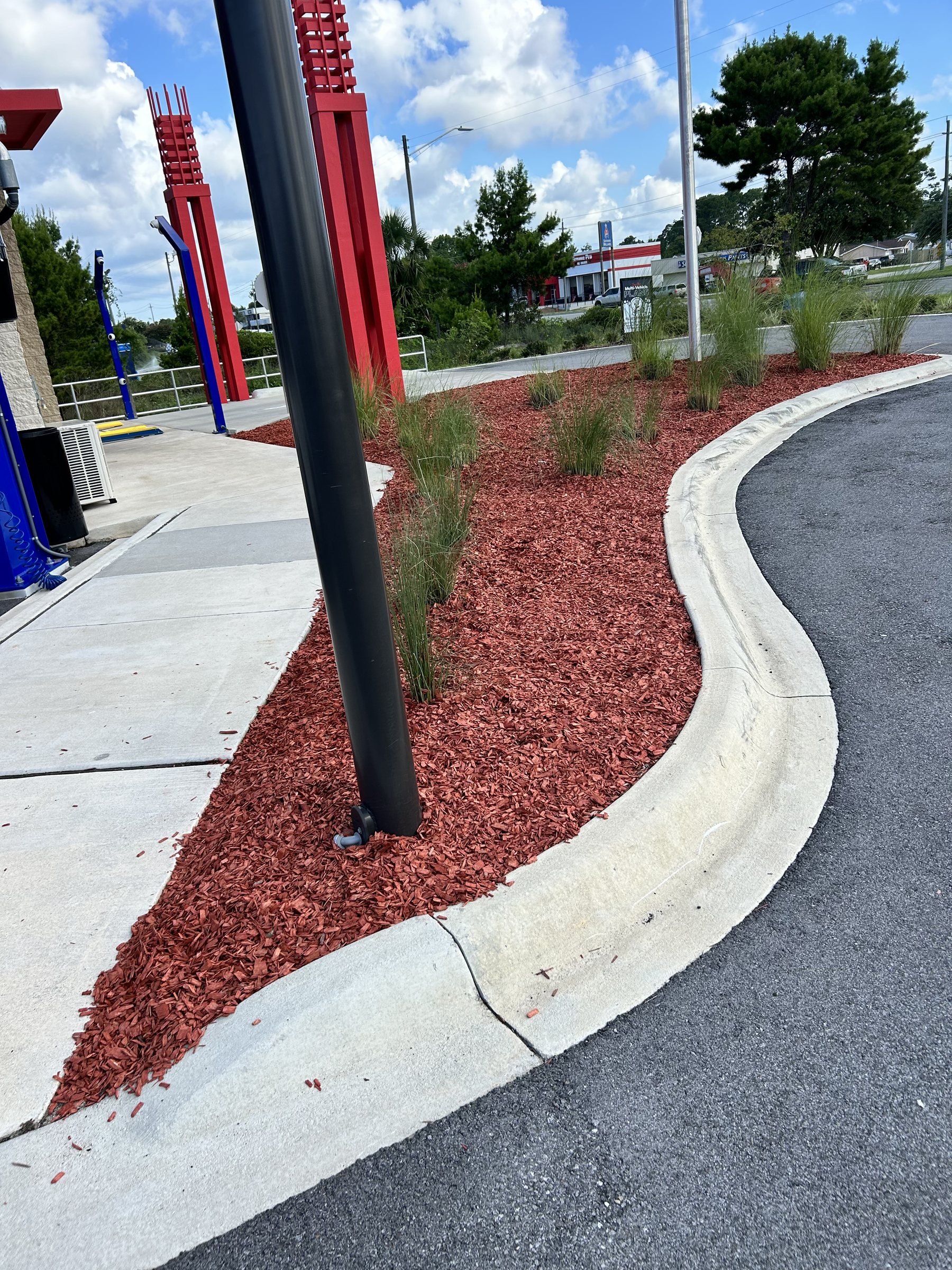 Curved planting bed with ornamental grasses along a commercial drive-through lane