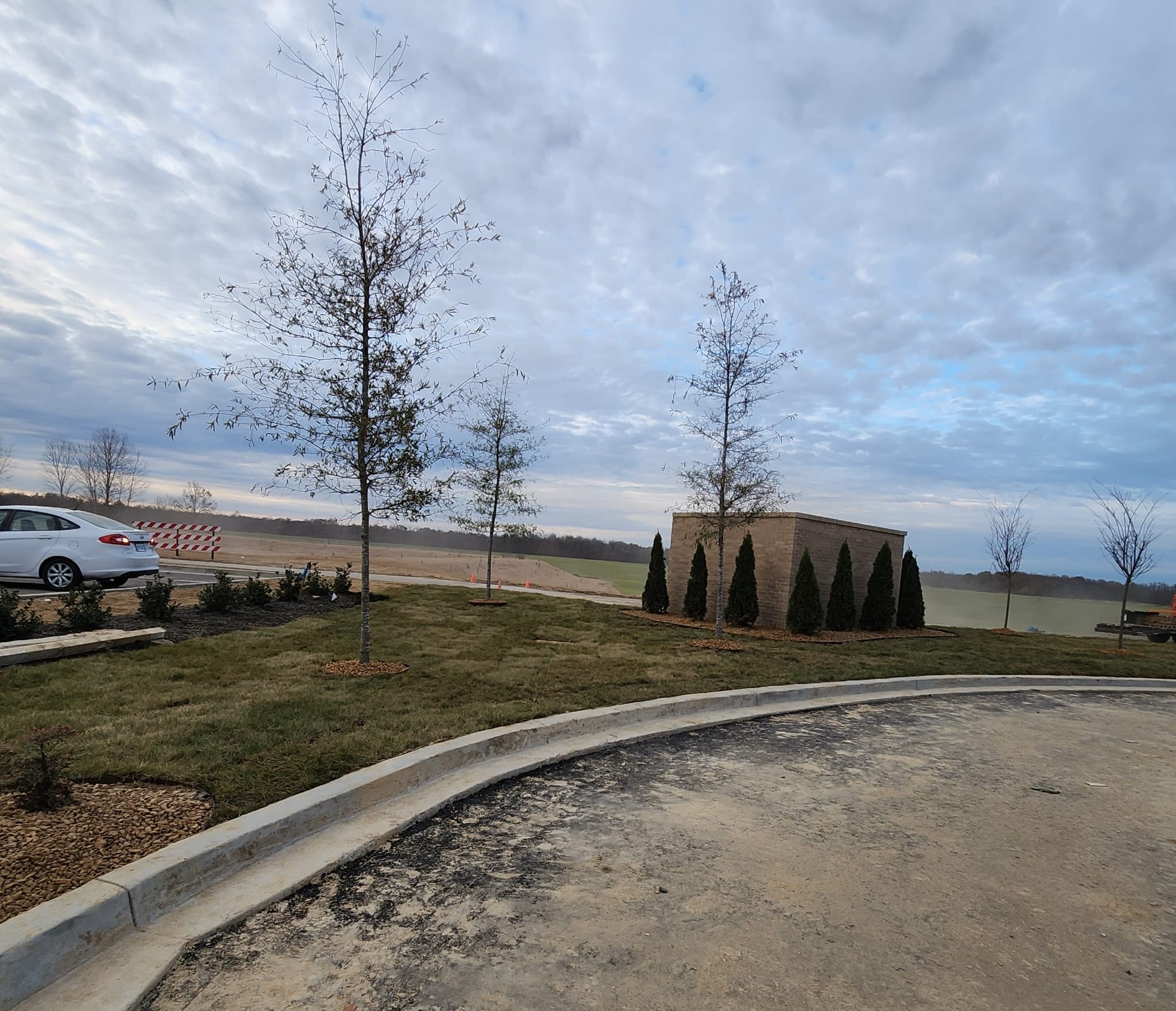 Newly planted ornamental trees and evergreen screening hedge on a commercial site